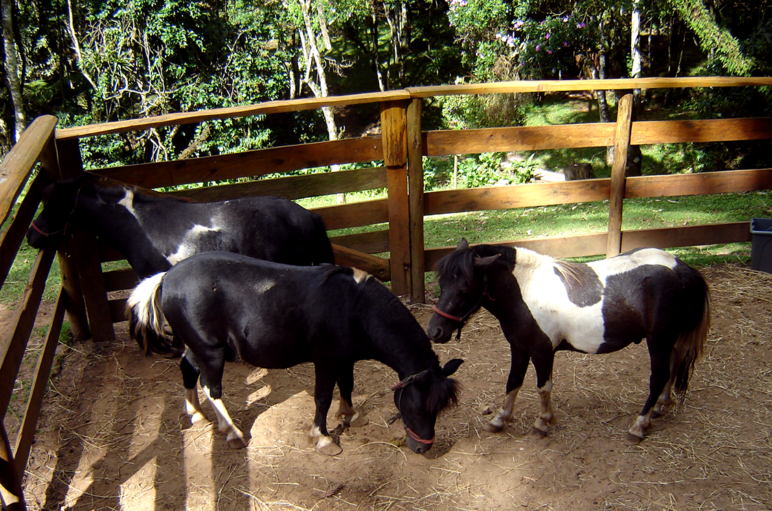 Fazendinha Torina Campos do Jordão
